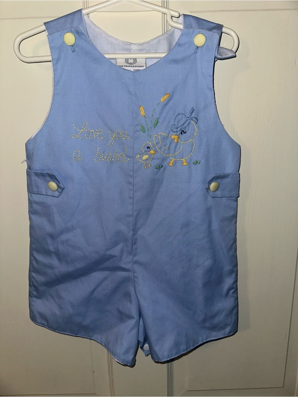 Light Blue Embroidered Chick Shortall Romper - Kids